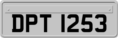DPT1253