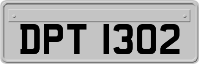 DPT1302