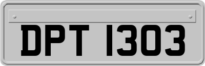 DPT1303