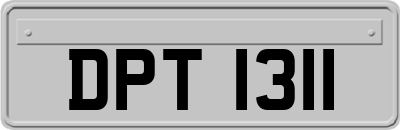 DPT1311