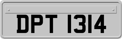 DPT1314