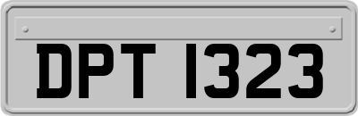 DPT1323