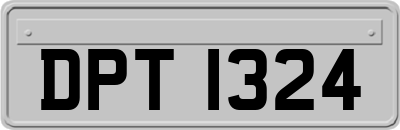 DPT1324