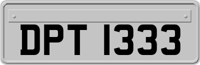 DPT1333