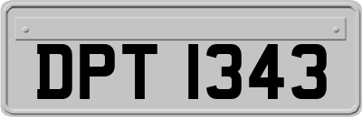 DPT1343