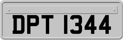 DPT1344