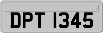 DPT1345