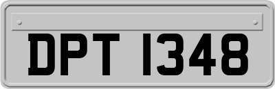 DPT1348