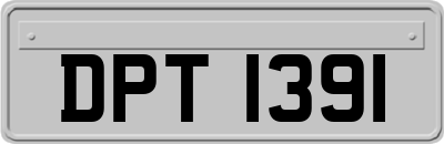 DPT1391