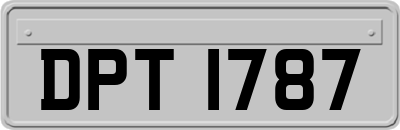 DPT1787