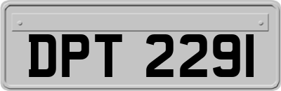 DPT2291