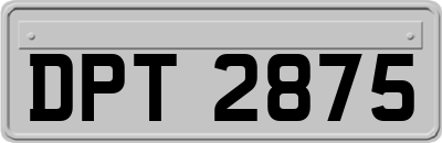DPT2875