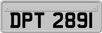 DPT2891