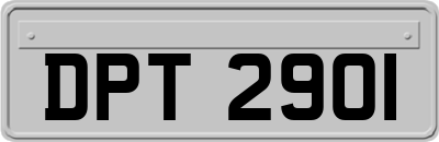 DPT2901
