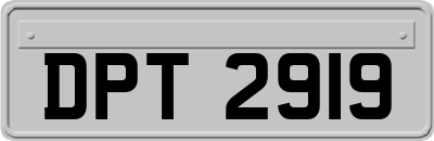DPT2919