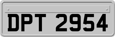 DPT2954