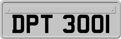 DPT3001