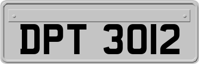 DPT3012