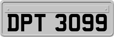 DPT3099