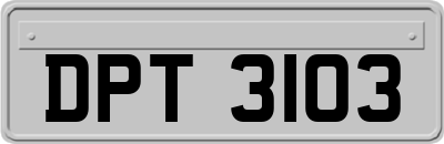 DPT3103