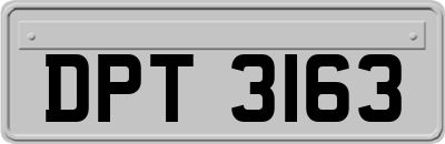 DPT3163