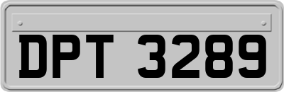 DPT3289