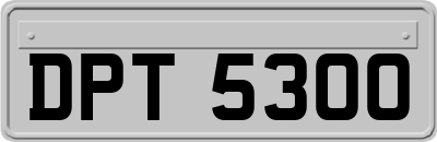 DPT5300