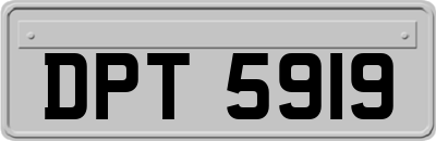 DPT5919