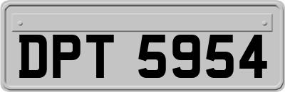 DPT5954