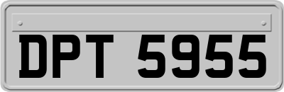 DPT5955