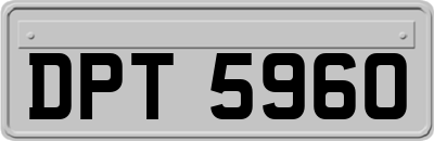 DPT5960