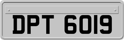 DPT6019
