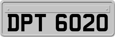 DPT6020