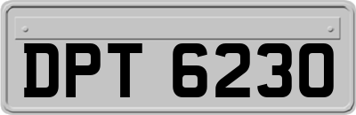DPT6230