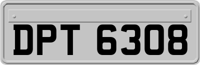 DPT6308
