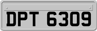 DPT6309