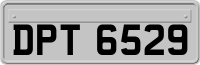 DPT6529