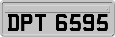 DPT6595