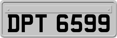 DPT6599