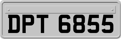 DPT6855