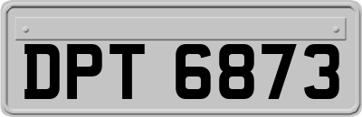 DPT6873