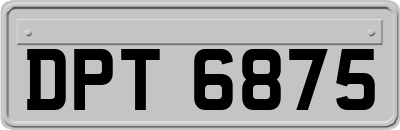 DPT6875
