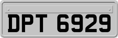 DPT6929