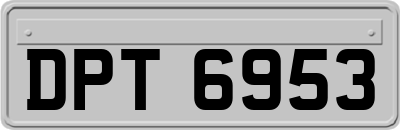 DPT6953