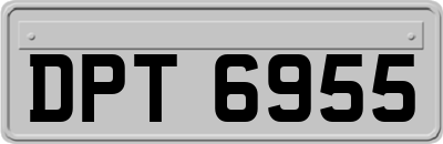 DPT6955