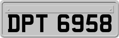 DPT6958