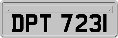 DPT7231