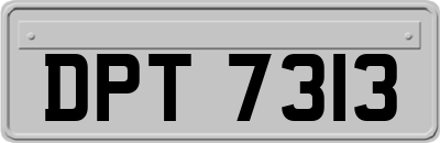 DPT7313