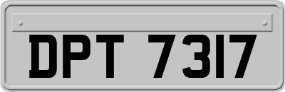 DPT7317