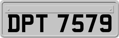 DPT7579